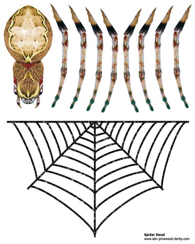 Spider Car Decal